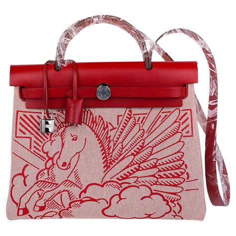 hermes herbag pegase pop|hermes herbag for sale.